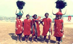 कोया नृत्य