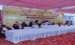 आदिवासी लोकनृत्य समारोह